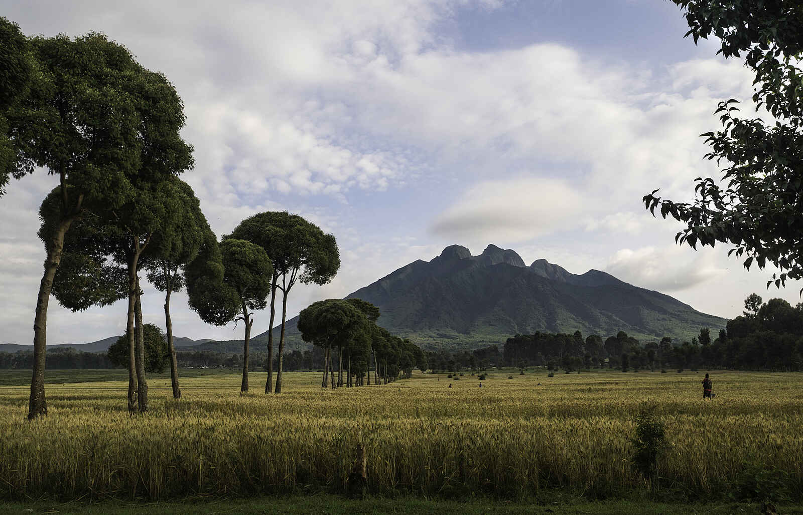 Sabyinyo Silverback Lodge: Mount Sabyinyo Sabyinyo Silverback Lodge: Mount Sabyinyo