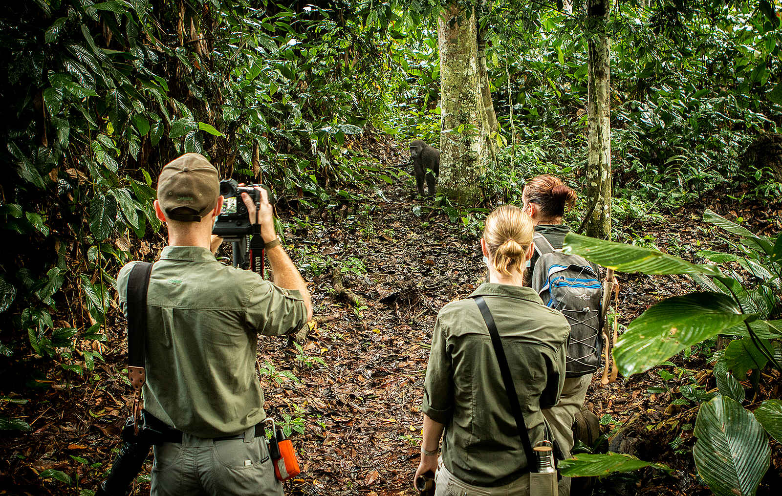 Ngaga Camp: Nähe zu den Tieren während des Trekkings Ngaga Camp: Nähe zu den Tieren während des Trekkings
