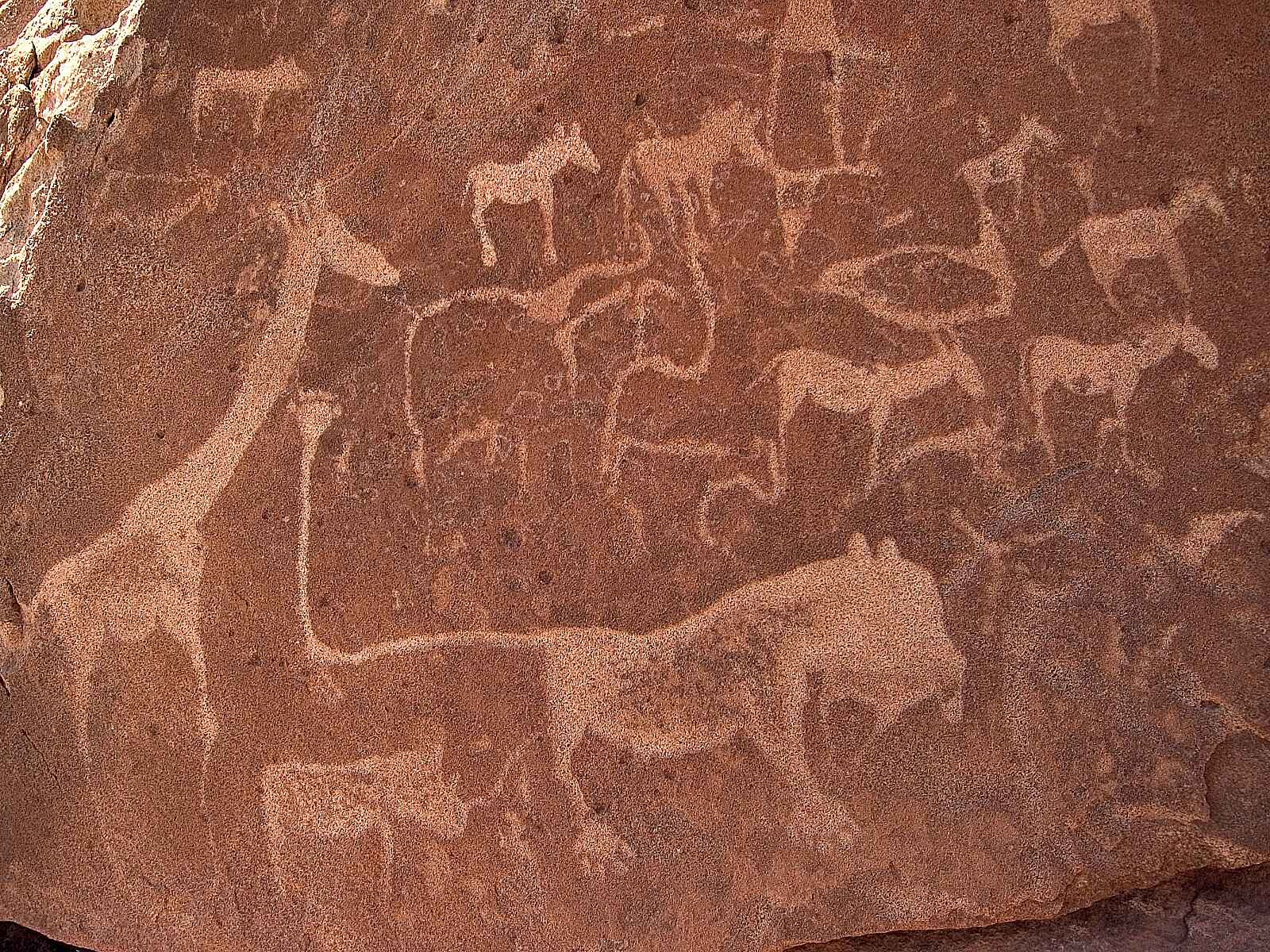 Doro Nawas: Versteinertes Wild Doro Nawas: Versteinertes Wild