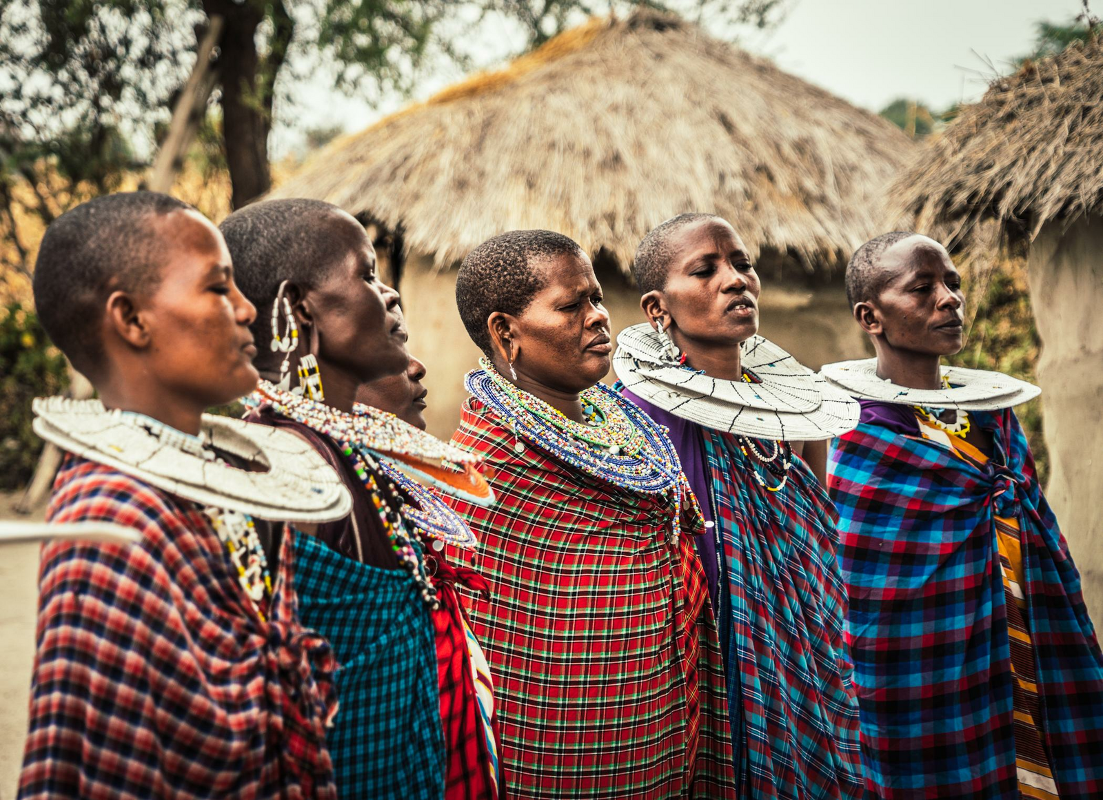 Lemala Osonjoi Lodge: Masai Frauen mit traditionellem Schmuck Lemala Osonjoi Lodge: Masai Frauen mit traditionellem Schmuck