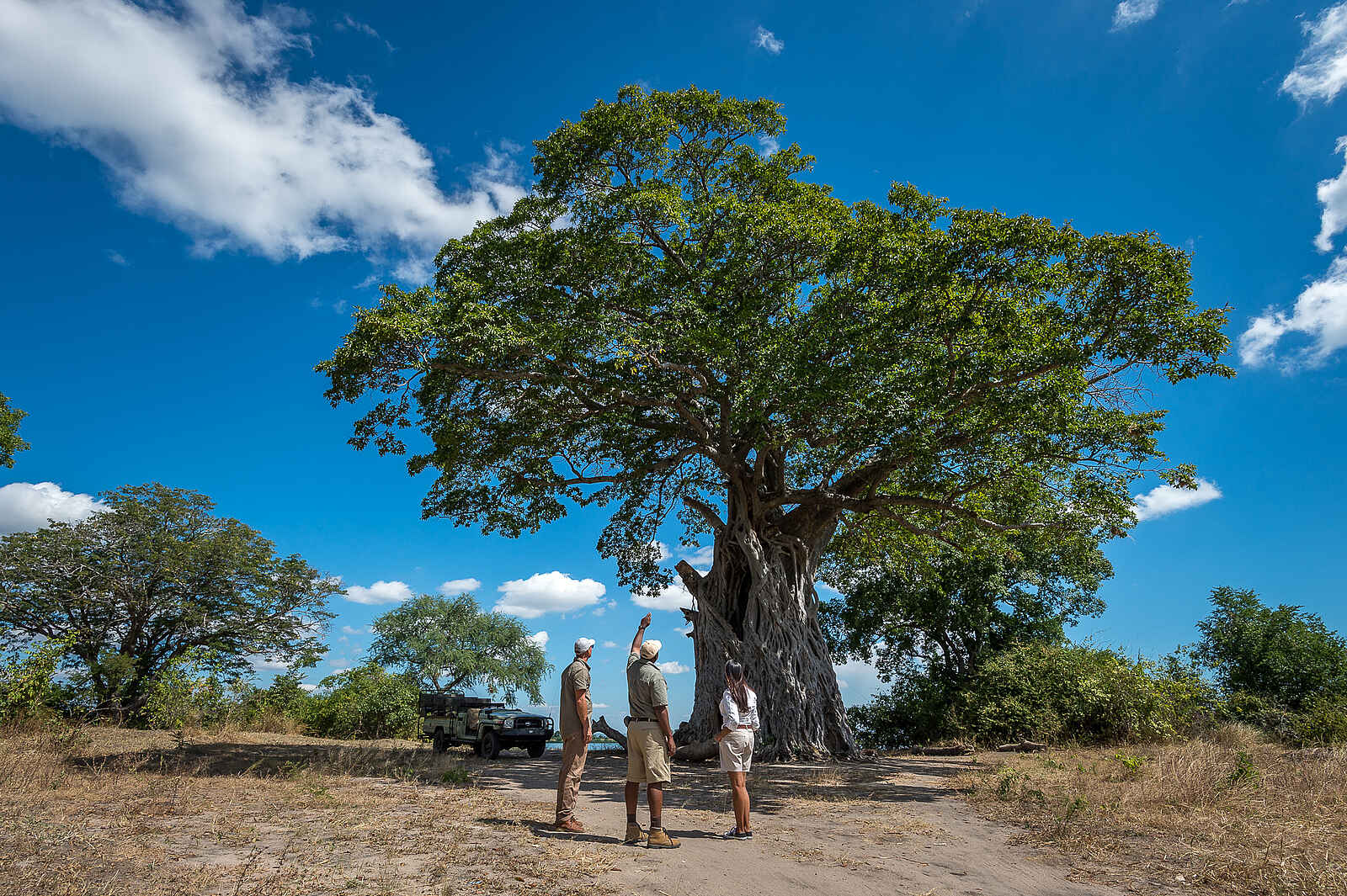 Kuthengo Camp: Baobab Kuthengo Camp: Baobab