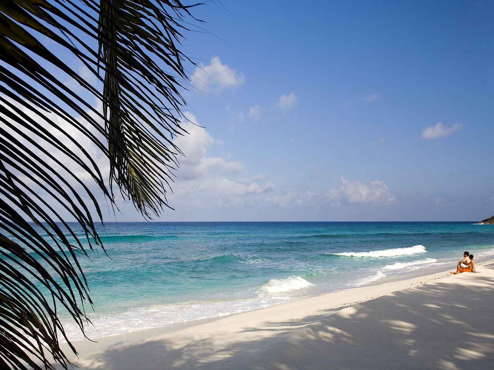 North Island: Strandspaziergang North Island: Strandspaziergang