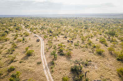Mohlabetsi Safari Lodge: Blick auf die Natur und eine Elefantenherde Mohlabetsi Safari Lodge: Blick auf die Natur und eine Elefantenherde