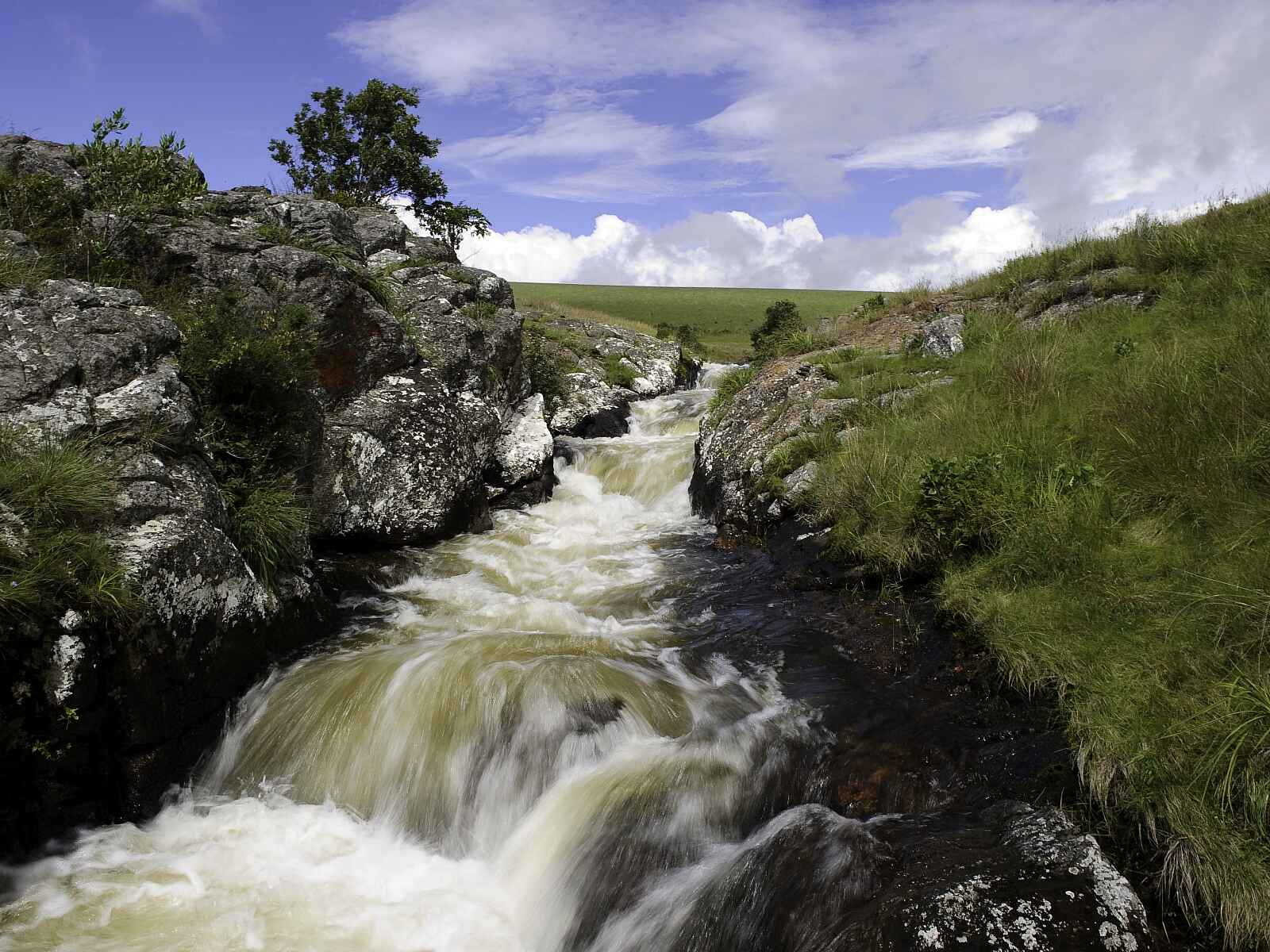 Chelinda Lodge: Wildbach Chelinda Lodge: Wildbach