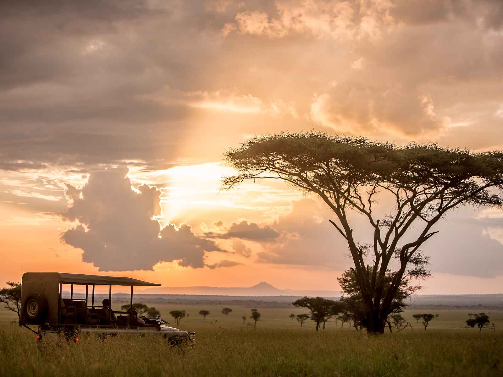 Singita Faru Faru: Sundowner Pirschfahrt Singita Faru Faru: Sundowner Pirschfahrt
