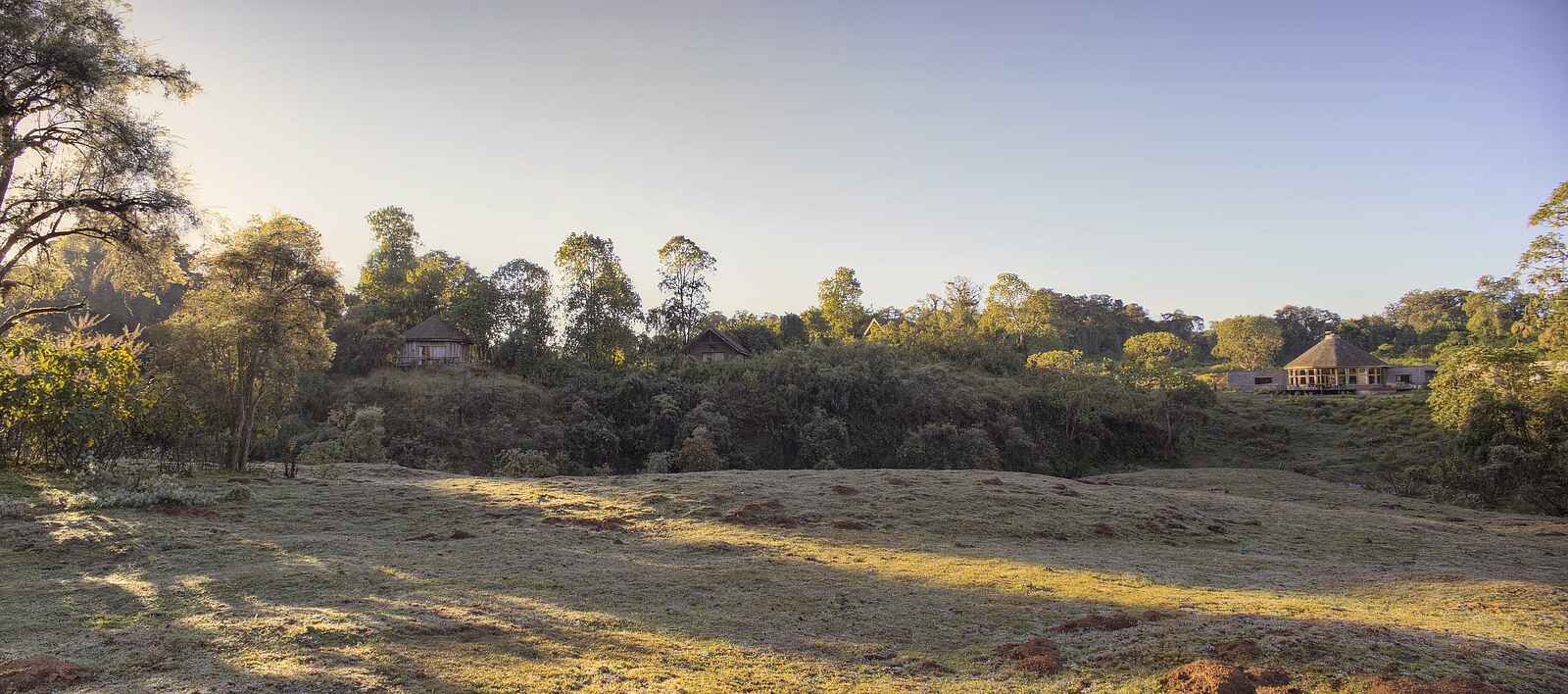Bale Mountain Lodge: Blick über das Gelände Bale Mountain Lodge: Blick über das Gelände