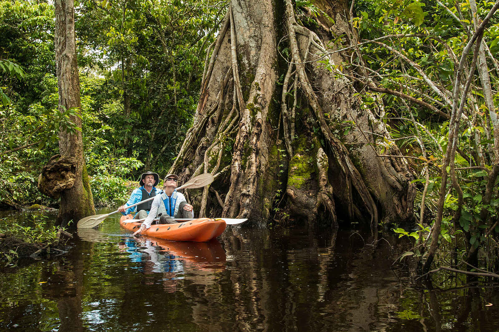 Mboko Camp: Kajakfahrt durch den Auenwald Mboko Camp: Kajakfahrt durch den Auenwald