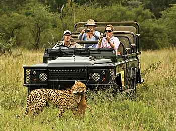 MalaMala Main Camp: Beobachtung eines jagenden Leoparden MalaMala Main Camp: Beobachtung eines jagenden Leoparden