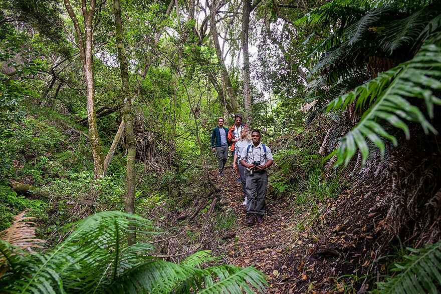 Grootbos Forest Lodge: Auf Wanderung Grootbos Forest Lodge: Auf Wanderung