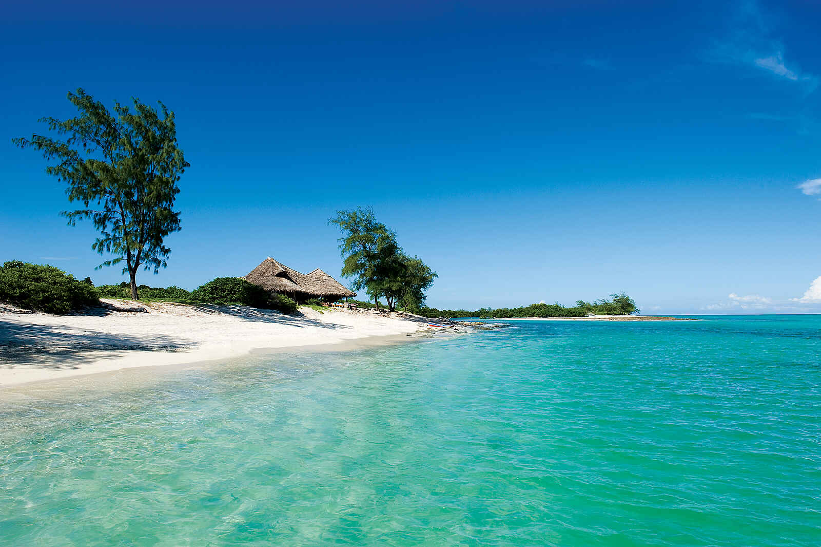 Vamizi Island: Küste Vamizi Island: Küste