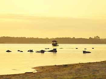 Roho ya Selous Camp: Hippo Stop Roho ya Selous Camp: Hippo Stop