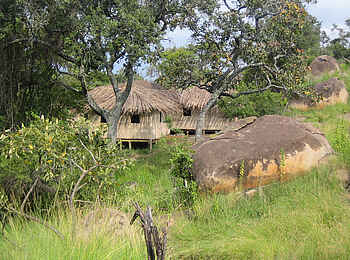 Lamai Serengeti: Gästechalets Lamai Serengeti: Gästechalets