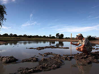 MalaMala Camp: Buschwanderung am Fluss MalaMala Camp: Buschwanderung am Fluss