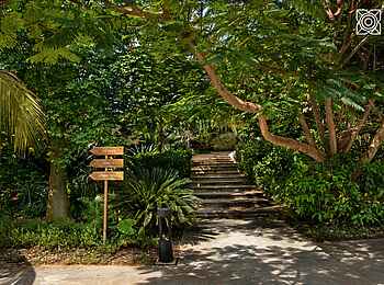 Zuri Zanzibar: Gewürzgarten Zuri Zanzibar: Gewürzgarten