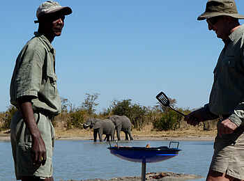 Camp Hwange: Frühstück am Wasserloch Camp Hwange: Frühstück am Wasserloch