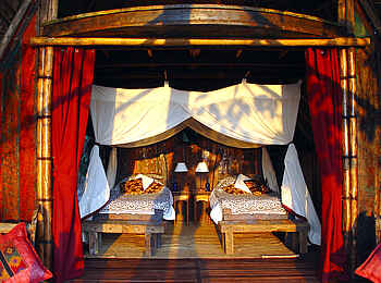 Greystoke Mahale: Blick in eine Banda Greystoke Mahale: Blick in eine Banda