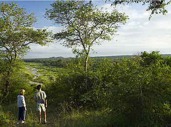 MalaMala Main Camp: Blick auf den Sand River MalaMala Main Camp: Blick auf den Sand River