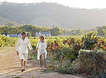 La Cle des Montagnes: Spaziergang durch umliegende Weinfelder La Cle des Montagnes: Spaziergang durch umliegende Weinfelder