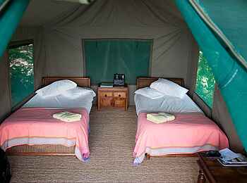 Mumbo Island Camp: Einzelbetten Mumbo Island Camp: Einzelbetten