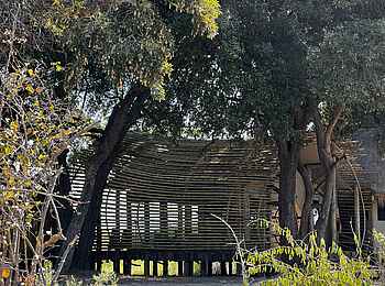 Sitatunga Private Island Camp: Gästeterrasse Sitatunga Private Island Camp: Gästeterrasse