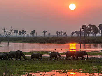 Roho ya Selous Camp: Elefanten Roho ya Selous Camp: Elefanten