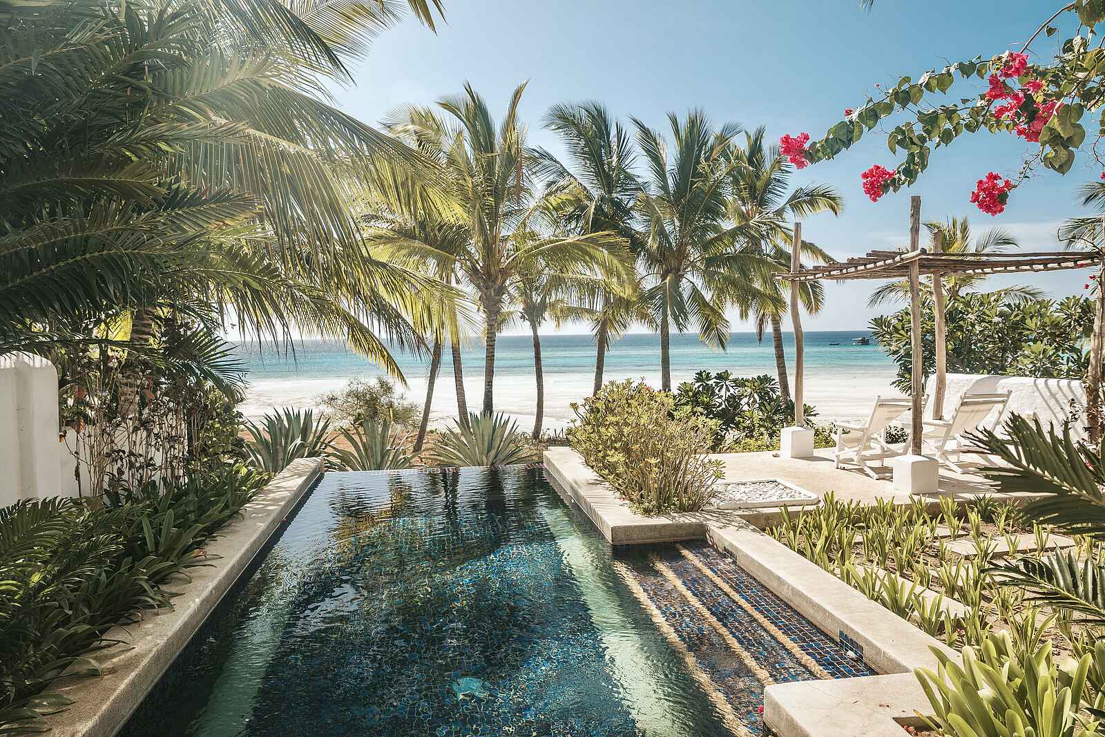 The Aiyana: Infinity Pool The Aiyana: Infinity Pool