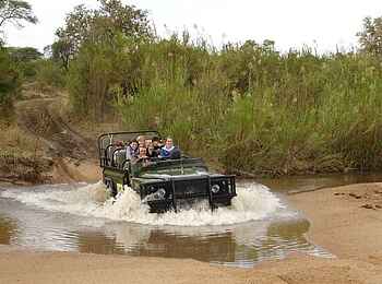 MalaMala Camp: Fahrt durch den Fluss MalaMala Camp: Fahrt durch den Fluss