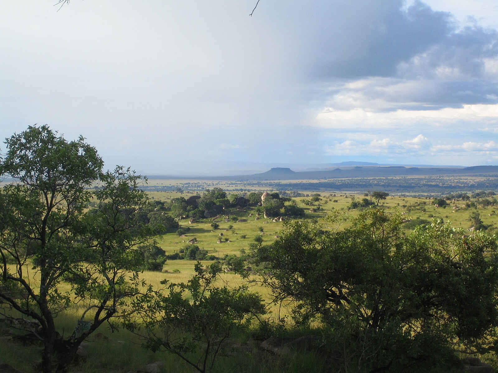 Lamai Serengeti: Die Aussicht Lamai Serengeti: Die Aussicht