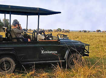 Konkamoya Lodge: Game Drive Konkamoya Lodge: Game Drive