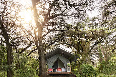 Sanctuary Ngorongoro Crater Camp: Blick auf ein Zelt