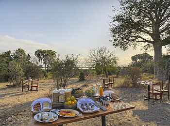 Roho ya Selous Camp: Frühstücksbuffet im Freien Roho ya Selous Camp: Frühstücksbuffet im Freien