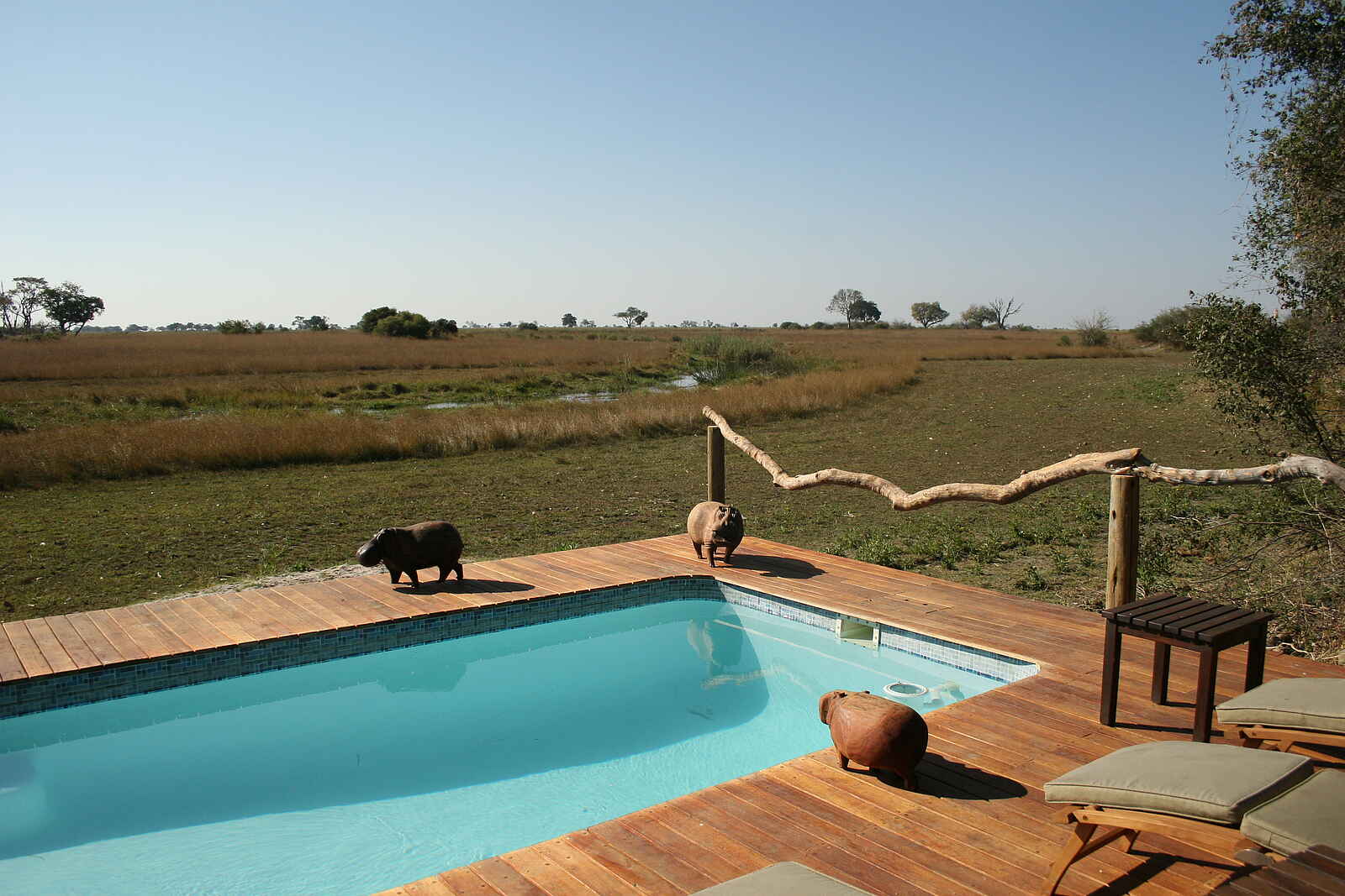 Lebala Camp: Plunge Pool Lebala Camp: Plunge Pool