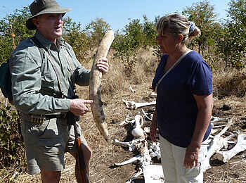 Camp Hwange: Walking Safari Camp Hwange: Walking Safari