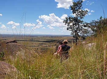 Lamai Serengeti: Buschwanderung Lamai Serengeti: Buschwanderung