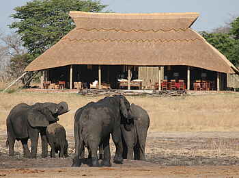 Camp Hwange: Elefantenherde vor der Main Lounge Camp Hwange: Elefantenherde vor der Main Lounge