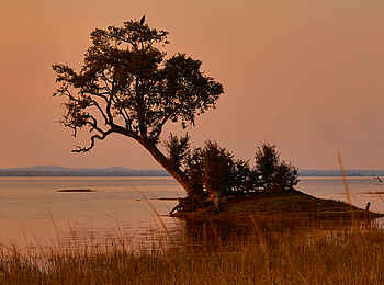 Konkamoya Lodge: Kleine Insel Konkamoya Lodge: Kleine Insel