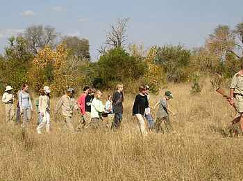 MalaMala Camp: Buschwanderung mit kleinen Entdeckern MalaMala Camp: Buschwanderung mit kleinen Entdeckern