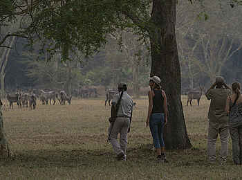 Muzimu Lodge: Wandersafari Muzimu Lodge: Wandersafari