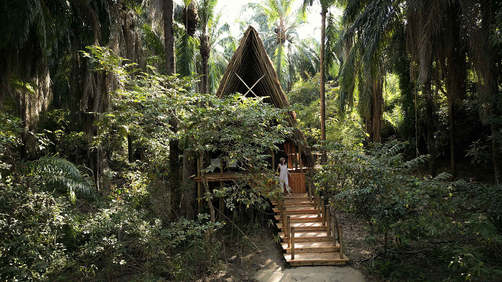 Greystoke Mahale Lodge: Banda im Dschungel Greystoke Mahale Lodge: Banda im Dschungel