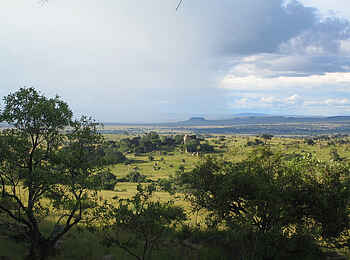Lamai Serengeti: Die Aussicht Lamai Serengeti: Die Aussicht