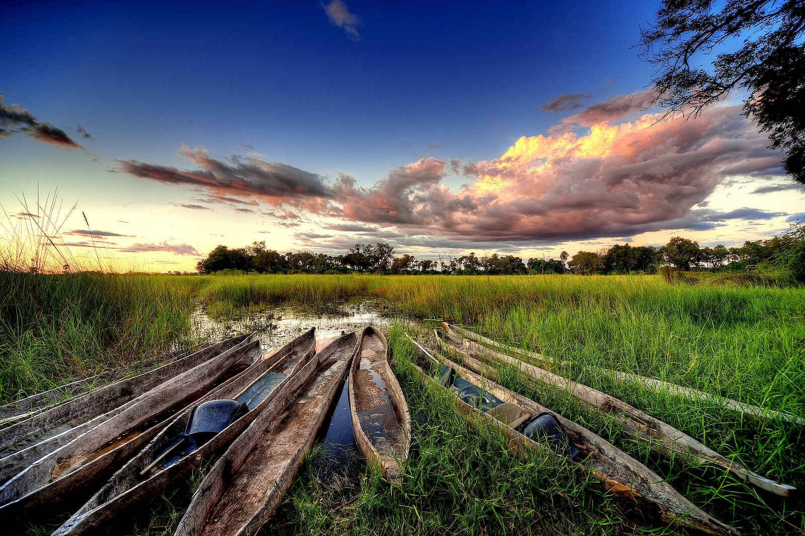 Oddball's Camp: Mekorohafen Oddball's Camp: Mekorohafen