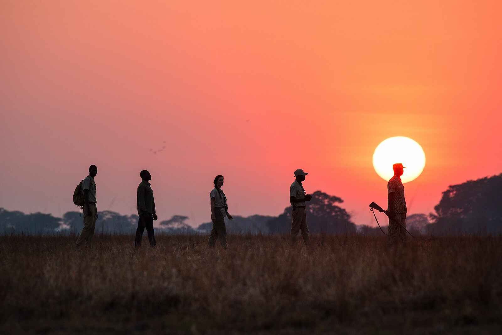 Chisa Busanga Camp: Walking Safari bei Sonnenuntergang Chisa Busanga Camp: Walking Safari bei Sonnenuntergang