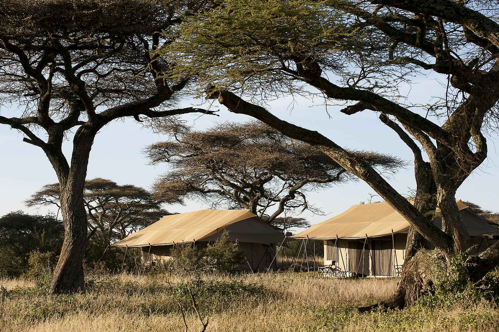 Ndutu Kati Kati Tented Camp: Rückansicht zweier Gästezelte Ndutu Kati Kati Tented Camp: Rückansicht zweier Gästezelte