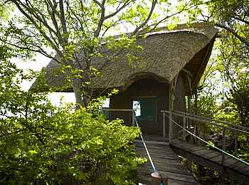 Mumbo Island Camp: Aufgang zu einem Gästezelt Mumbo Island Camp: Aufgang zu einem Gästezelt