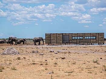 Etosha King Nehale: Blick auf den Fotohide Etosha King Nehale: Blick auf den Fotohide