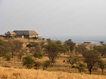 Kubu Kubu Tented Camp: Umgebung des Haupthauses Kubu Kubu Tented Camp: Umgebung des Haupthauses