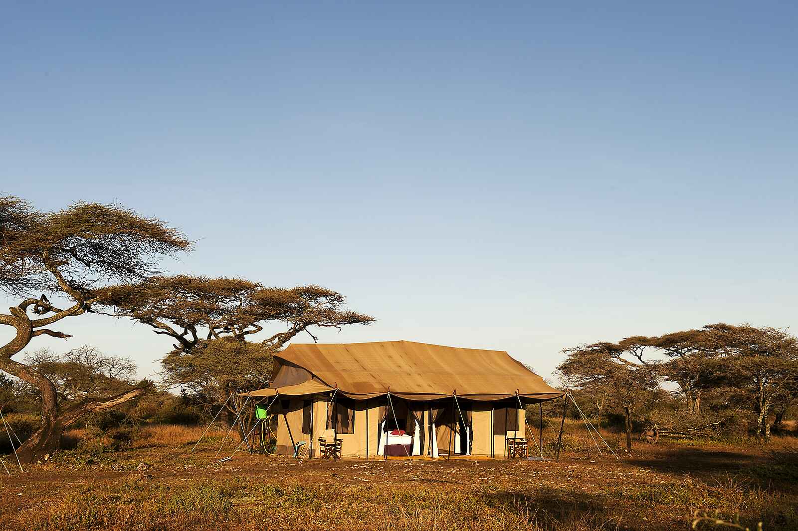 Ndutu Kati Kati Tented Camp: Gästezelt Ndutu Kati Kati Tented Camp: Gästezelt