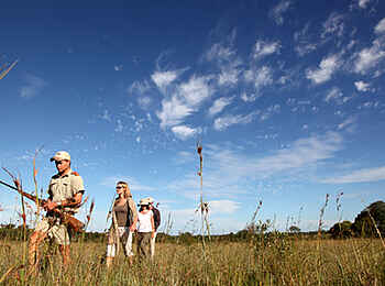 MalaMala Camp: Buschwanderung MalaMala Camp: Buschwanderung