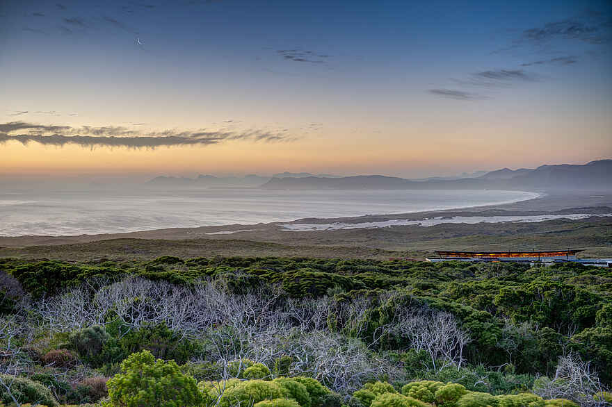 Grootbos Forest Lodge: Ansicht aus der Ferne Grootbos Forest Lodge: Ansicht aus der Ferne