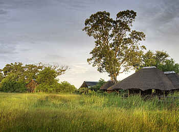 Lebala Camp: Gesamtansicht Lebala Camp: Gesamtansicht